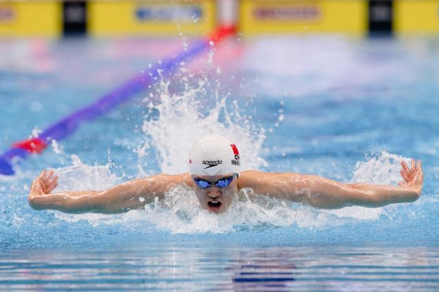 星空体育官网下载入口-游泳世锦赛第4日：中国混接争奖牌 花游集体再冲金